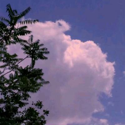 大雩赋测试服下载